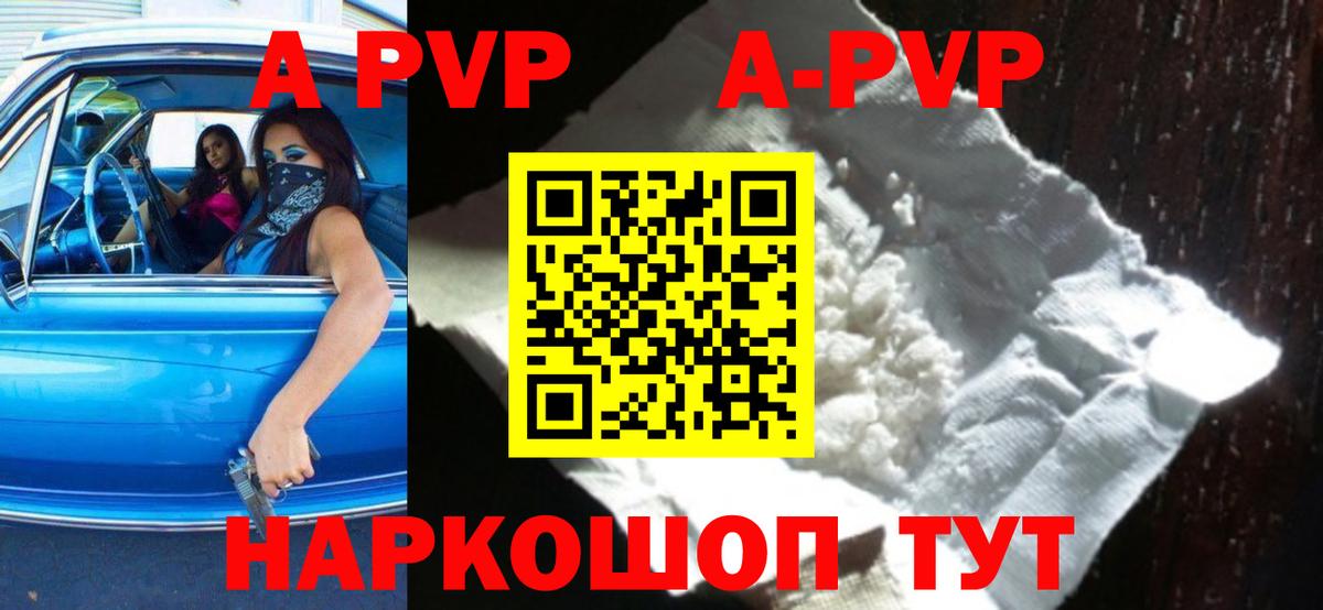 Гатчина  A PVP крисы CK  Вход с VPN 