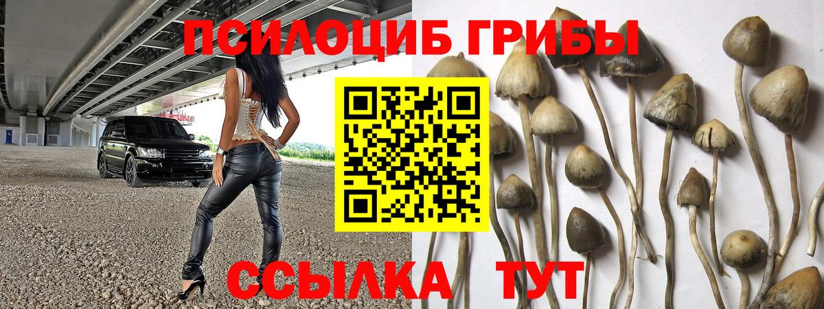 Псилоцибиновые грибы мицелий Гатчина