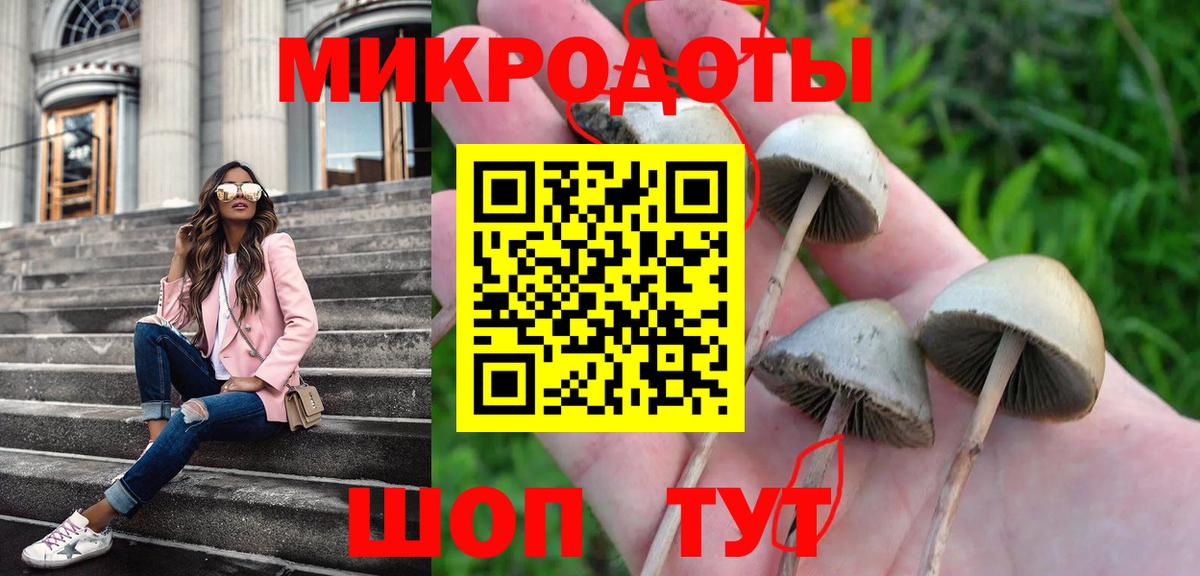 Гатчина  Галлюциногенные грибы ЛСД  Галлюциногенные грибы MAGIC MUSHROOMS  хочу наркоту  Вход с VPN 