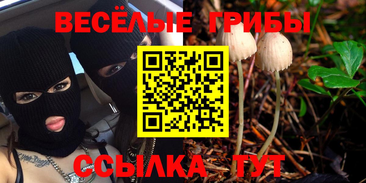 Каннабис  LSD-25  А ПВП СОЛЬ кристаллы  Мефедрон  ЭКСТАЗИ  Вход с VPN  Гатчина  ГАШ  МЕФ кристаллы 